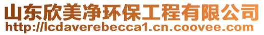 山東欣美凈環保工程有限公司