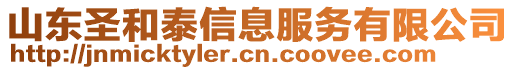 山東圣和泰信息服務(wù)有限公司