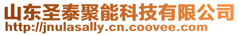 山東圣泰聚能科技有限公司