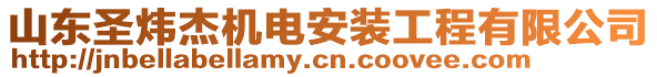 山東圣煒杰機電安裝工程有限公司