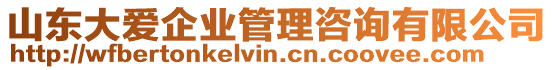 山東大愛(ài)企業(yè)管理咨詢有限公司