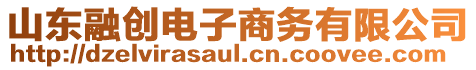 山東融創(chuàng)電子商務有限公司