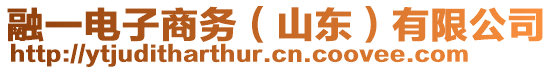 融一電子商務(wù)（山東）有限公司