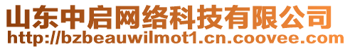 山東中啟網(wǎng)絡(luò)科技有限公司