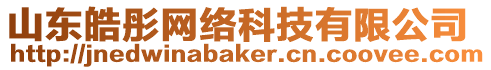山東皓彤網絡科技有限公司