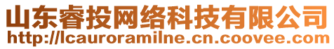 山東睿投網(wǎng)絡(luò)科技有限公司