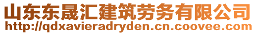 山東東晟匯建筑勞務(wù)有限公司