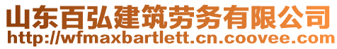 山東百弘建筑勞務(wù)有限公司