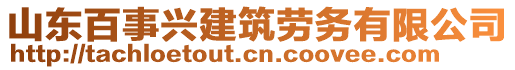 山東百事興建筑勞務(wù)有限公司