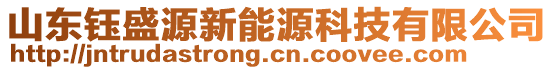 山東鈺盛源新能源科技有限公司