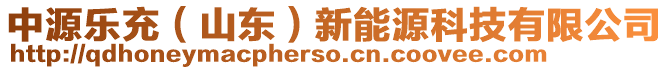 中源樂充（山東）新能源科技有限公司