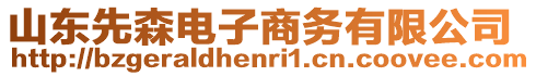 山東先森電子商務有限公司