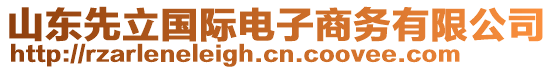 山東先立國際電子商務(wù)有限公司