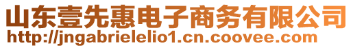 山東壹先惠電子商務(wù)有限公司