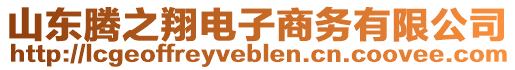 山東騰之翔電子商務(wù)有限公司