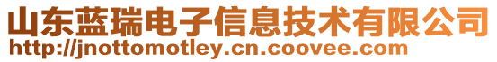 山東藍(lán)瑞電子信息技術(shù)有限公司