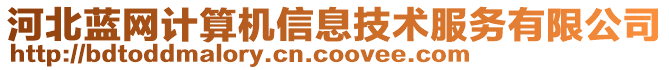 河北藍(lán)網(wǎng)計(jì)算機(jī)信息技術(shù)服務(wù)有限公司