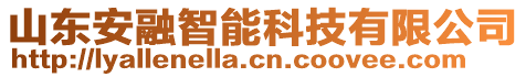 山東安融智能科技有限公司