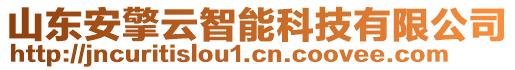 山東安擎云智能科技有限公司