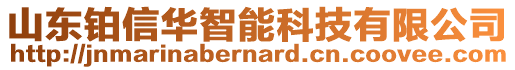 山東鉑信華智能科技有限公司