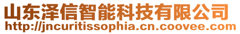 山東澤信智能科技有限公司