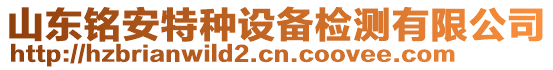 山東銘安特種設(shè)備檢測(cè)有限公司