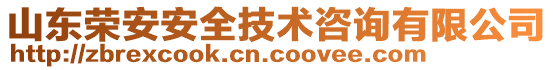 山東榮安安全技術咨詢有限公司