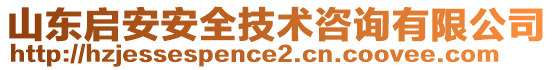 山東啟安安全技術(shù)咨詢有限公司