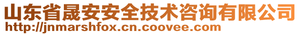 山東省晟安安全技術(shù)咨詢(xún)有限公司