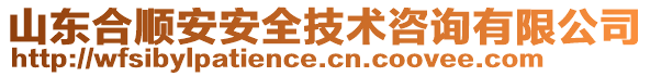 山東合順安安全技術(shù)咨詢有限公司