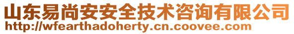 山東易尚安安全技術(shù)咨詢有限公司