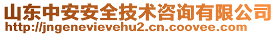 山東中安安全技術(shù)咨詢有限公司