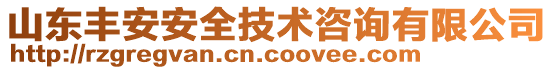 山東豐安安全技術咨詢有限公司