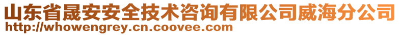 山東省晟安安全技術(shù)咨詢有限公司威海分公司