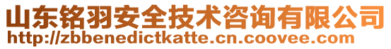 山東銘羽安全技術咨詢有限公司