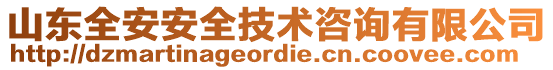 山东全安安全技术咨询有限公司