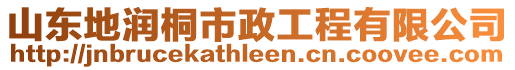 山東地潤桐市政工程有限公司