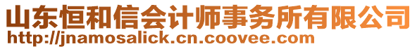 山東恒和信會計(jì)師事務(wù)所有限公司