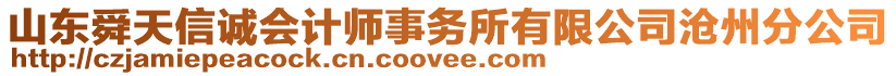 山東舜天信誠(chéng)會(huì)計(jì)師事務(wù)所有限公司滄州分公司