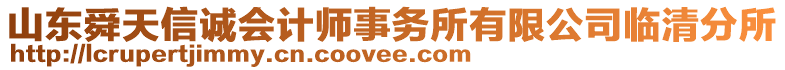 山東舜天信誠會計師事務(wù)所有限公司臨清分所