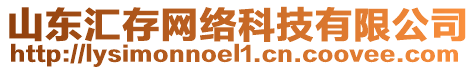 山東匯存網(wǎng)絡(luò)科技有限公司