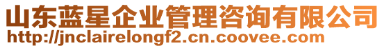 山東藍(lán)星企業(yè)管理咨詢有限公司