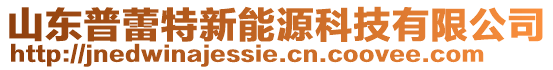 山東普蕾特新能源科技有限公司