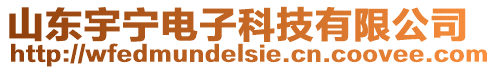 山東宇寧電子科技有限公司