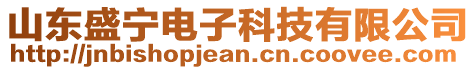 山東盛寧電子科技有限公司