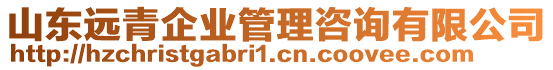 山東遠(yuǎn)青企業(yè)管理咨詢(xún)有限公司