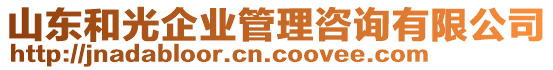 山東和光企業(yè)管理咨詢有限公司