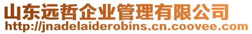 山東遠哲企業(yè)管理有限公司