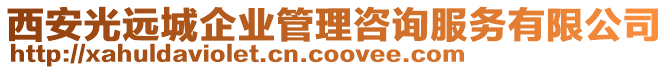 西安光遠城企業(yè)管理咨詢服務(wù)有限公司