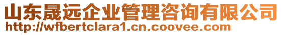 山東晟遠(yuǎn)企業(yè)管理咨詢有限公司